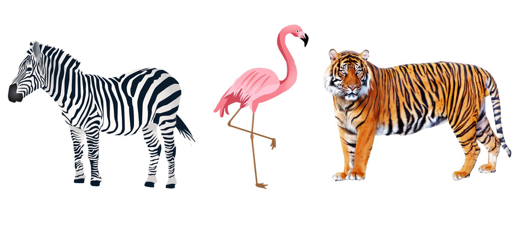 Flamingo, Zebra ve Kaplan - BlasCut - Tarzınızı Arttırın